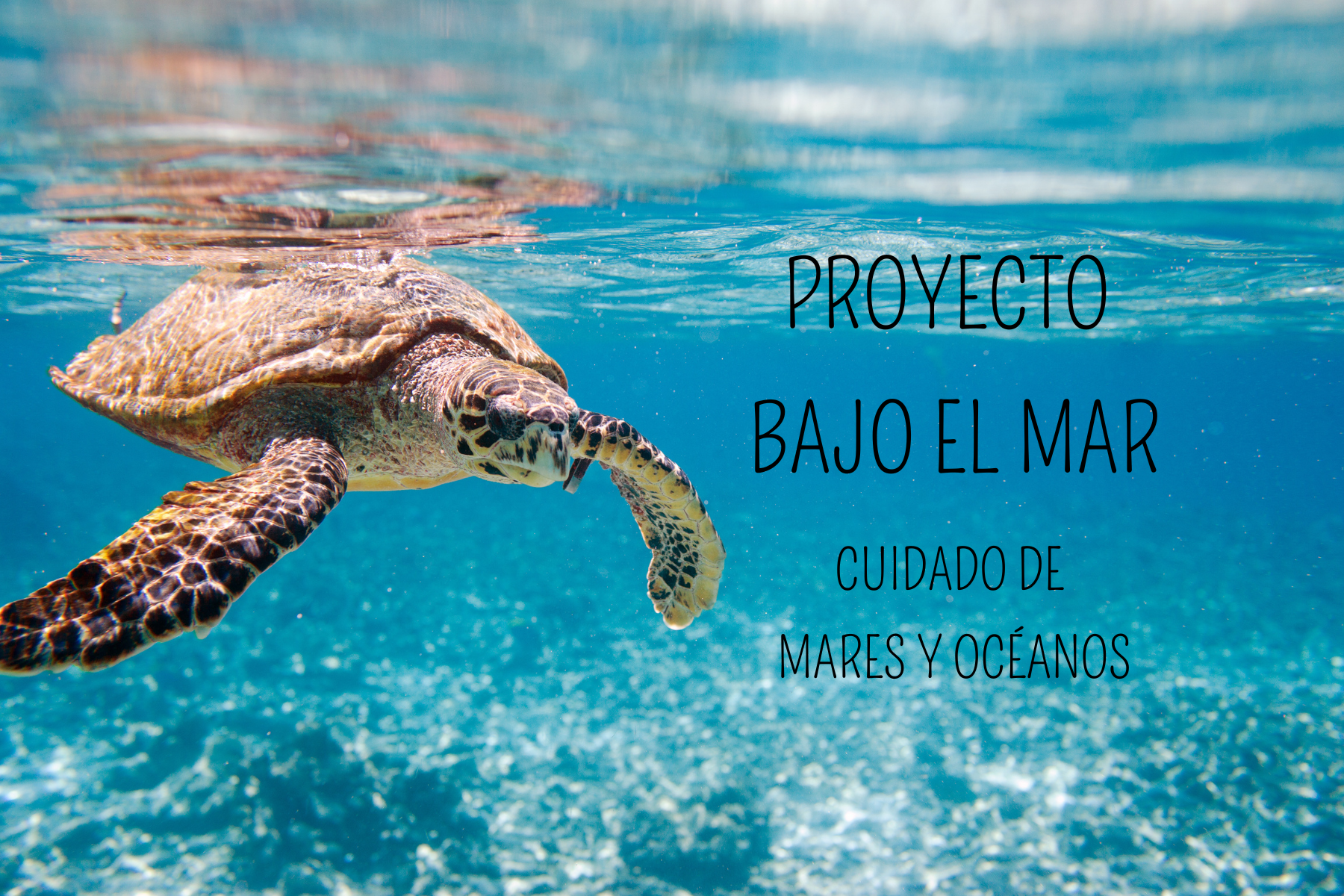 PROYECTO: BAJO EL MAR