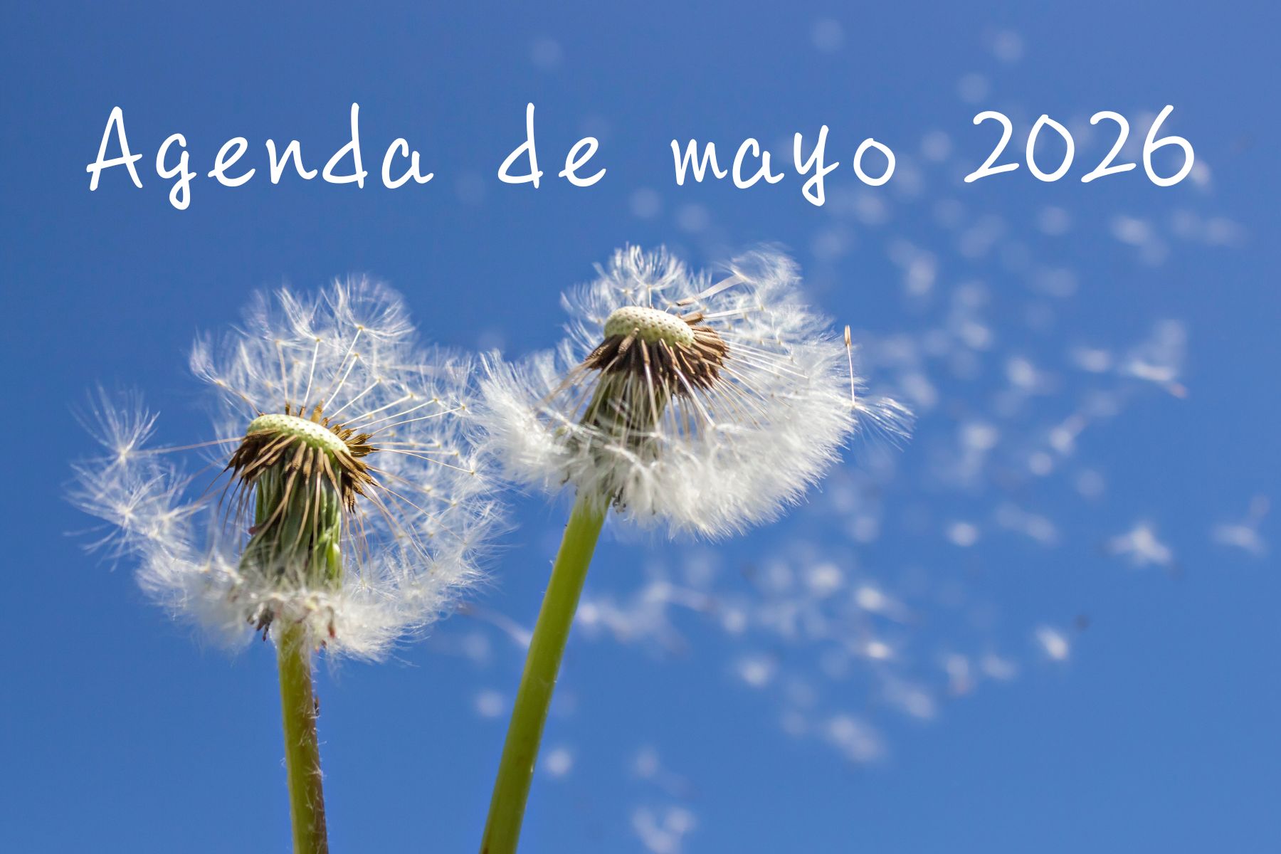 AGENDA DEL MES DE MAYO