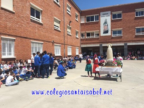 05-copia 0