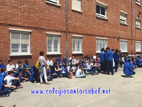 06-copia 0