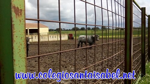 img-20160422-wa0018
