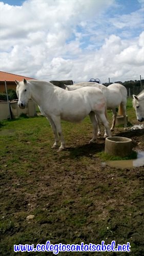 img-20160422-wa0047