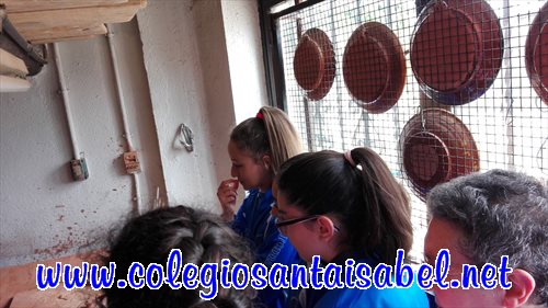 img20160506120316