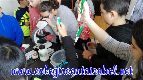 img20161107110159