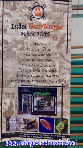 img20161116101953