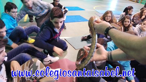 img20161116120247