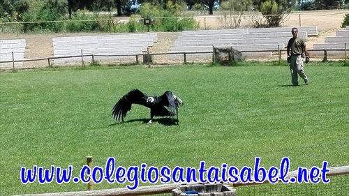 img20170607134412